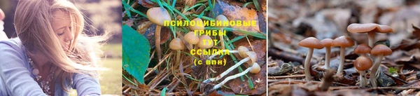 амф Красноперекопск