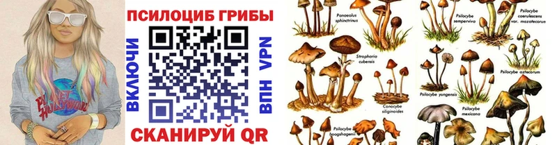 Псилоцибиновые грибы MAGIC MUSHROOMS  Купить где  Армянск 